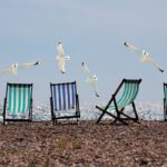 beach seagulls deckchairs fly 814679