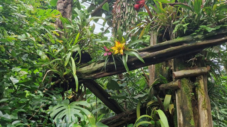 Rückblick Sommerferien 2025