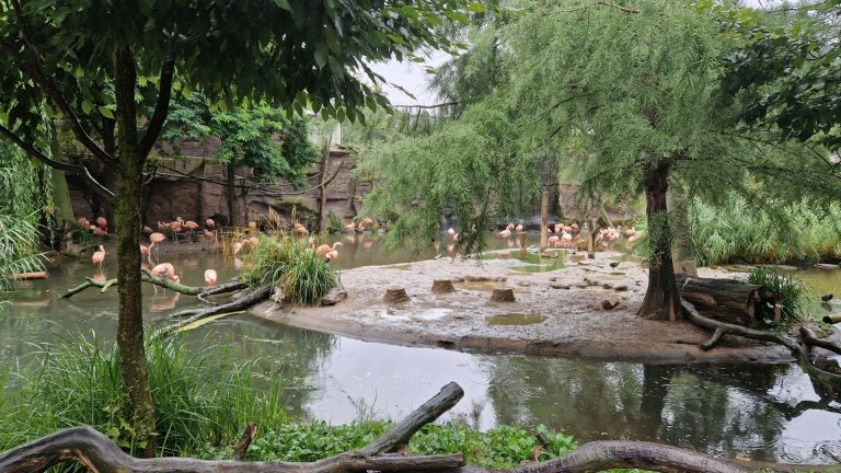 Monatsrückblick August